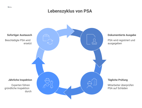 Infografik des PSA-Lebenszyklus als Kreisprozess mit Phasen wie Ausgabe, Prüfung und Austausch, umgeben von Icons für PSA-Ausrüstung.
